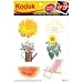 Kodak Photo Memories Spring / Summer Photo Stickers, Self Adhesive Pictures of the Seasons.