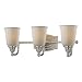 Minka Clairemont Brushed Nickel 3 Light Bath 6453-84
