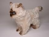Seal Point Himalayan Kitten, Standing - Lifelike Plush|One Size - 12 inches