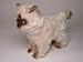   - Seal Point Himalayan Kitten, Standing - Lifelike Plush|One Size - 12 inches