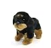 Plush Little Standing Rottweiler Puppy 7.5