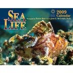 Sea Life 2009 Calendar