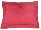 Madallie Dreamy Travel Pillow/Burgundy
