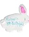 Beautiful Cookies Organic Party Favors-Bunny Organic Cookies Cookies, 10 Cookies