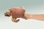 Folkmanis Mini Loggerhead Turtle Finger Puppet