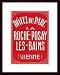 Art Poster Wood Framed Print - Hotel Du Parc La Roche-Posay Les-Bains, Vienne Luggage Label - Artist: - Poster Size: 20 X 16