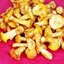 Fresh European Chanterelle Mushrooms - 3lbs