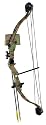 Bear Archery Realtree Hardwood Warrior 2 Youth Compound Bow Set