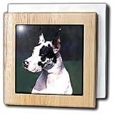 Great Dane - 6 Inch Tile Napkin Holder