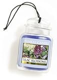 Yankee Candle Gel Car Jar Ultimate Hanging Odor Neutralizing Air Freshener Lilac Blossoms Yankee Candle Gel Car Jar Ultimate Hanging Odor Neutralizing Air Freshener Lilac Blossoms