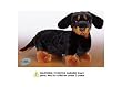Webkinz Plush Stuffed Animal Dachshund