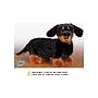 Webkinz Plush Stuffed Animal Dachshund