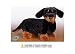 Webkinz Plush Stuffed Animal Dachshund