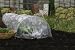 Outdoor Living : LARGE EASY POLY TUNNEL 3M