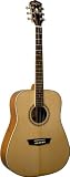 Washburn WD10 Series WD10S Acoustic Guitar