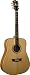 Washburn WD10 Series WD10S Acoustic Guitar