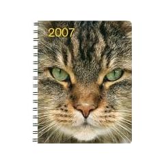 Katzen Kalender 2007.