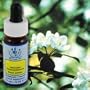 Flower Essence Healing Herb Crab Apple Supplement Dropper -- 0.25 fl oz