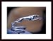 1927 Lincoln Hood Ornament by John K. Nakata 24.00X18.00 Framed with Black Wood Frame