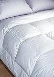 Goose Feather / Down Comforter, TWIN