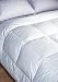 Goose Feather / Down Comforter, TWIN