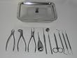 Dental Instrument Set with Tray & Lid - New for Vets