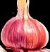 California Garlic Bulbs 6 Bulbs -Top Size Heads!