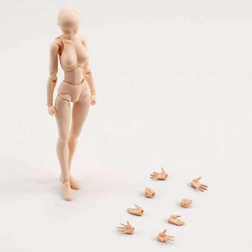 Gogoforward Japan Bandai SHF Female Body Kun DX Set Body Color Ver. Action PVC Figure
