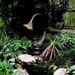 Low Voltage Accent Light with Water Spitter by Accent Lamps