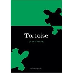 Tortoise (Animal)