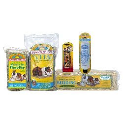 Sun Seed Fun Pet Guinea Pig Starter Kit