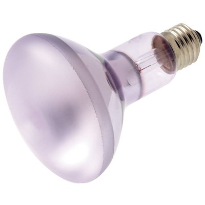 Neodymium - 100 Watt - 5000 hrs - 120 Volt - Frosted - R30 Reflector - 5 3/8 in. Lg - Medium Base - Verilux R30FF100VLX