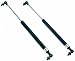 95 96 97 98 99 Nissan Maxima Hood Support Strut Shock PAIR 95 96 97 98 99 Nissan Maxima Hood Support Strut Shock PAIR