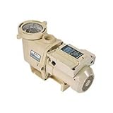 Pentair IntelliFlo Variable Speed w/ Timer