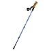 Hammers HP5 Anti-Shock Hiking Pole with Compass & Thermometer