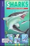 Sharks