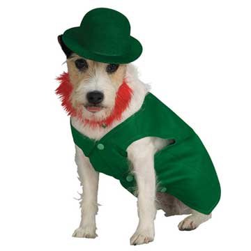 Leprechaun Dog Costume
