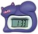 Cat Whimsy Clock