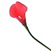 Wuudi 20pcs Calla Lily Bridal Wedding Bouquet Head Latex Real Touch Flower Bouquets(Red)