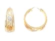 14k Tricolor Gold Hoop Earrings