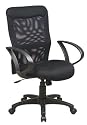 Screen Back Chair With Loop Arms