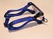 Adjustable Dog Harness, Medium Blue