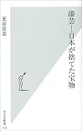 漆芸―日本が捨てた宝物 (光文社新書)