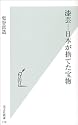 漆芸―日本が捨てた宝物 (光文社新書)