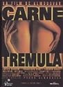 Carne Tremula (AKA Live Flesh) [Spanish Import]