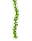 - SEAWEED BOA - Std