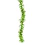 - SEAWEED BOA - Std