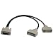 Tripp Lite DVI-D Dual-Link Splitter Cable (1-foot)