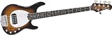 3185xkN%2B5BL. SL160  Music Man Sterling 5 H Bass, Blue Pearl Maple Fretboard