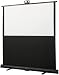 Draper 230163 84-Inch Piper HDTV Portable Screen